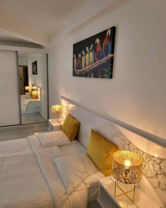 Hello Guyane Apartment Cayenne Luaran gambar